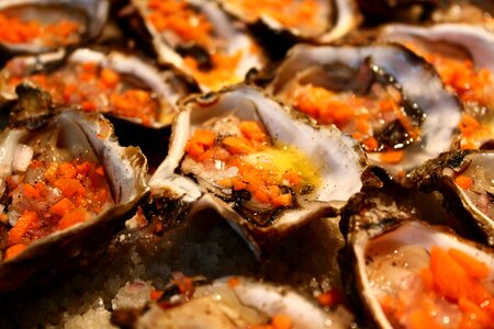Kitchen shells gastronomy