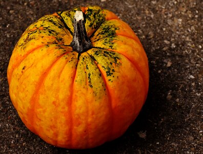 Autumn decoration colorful