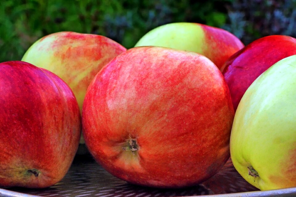 Summer apple fruit healthy