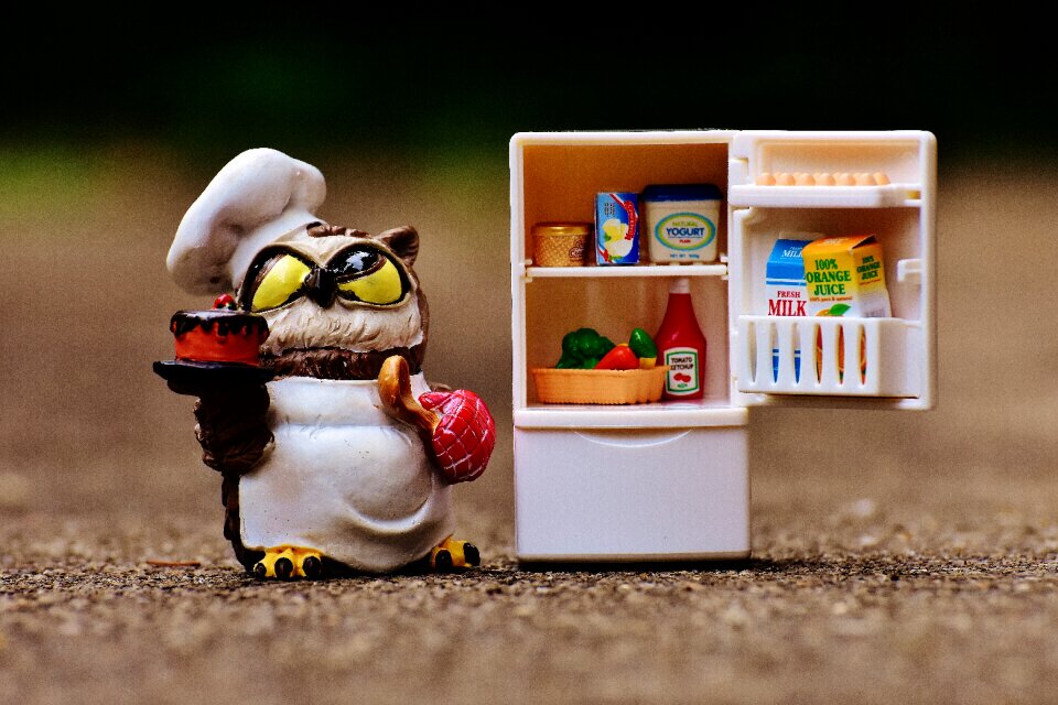Refrigerator figure cute