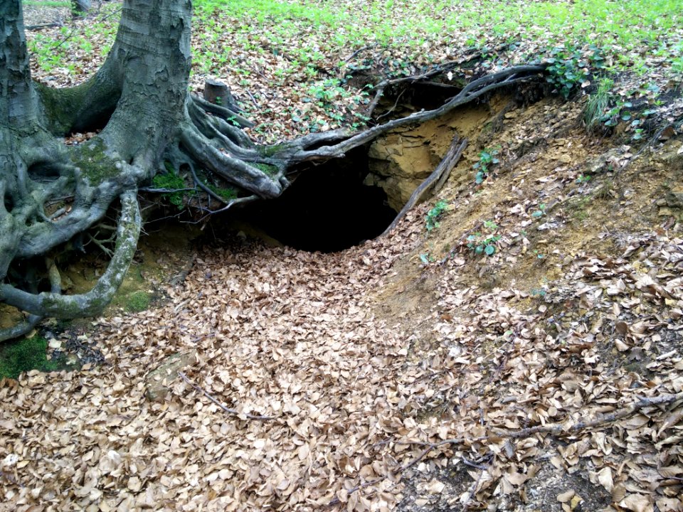 Sztolnia krupniczka2