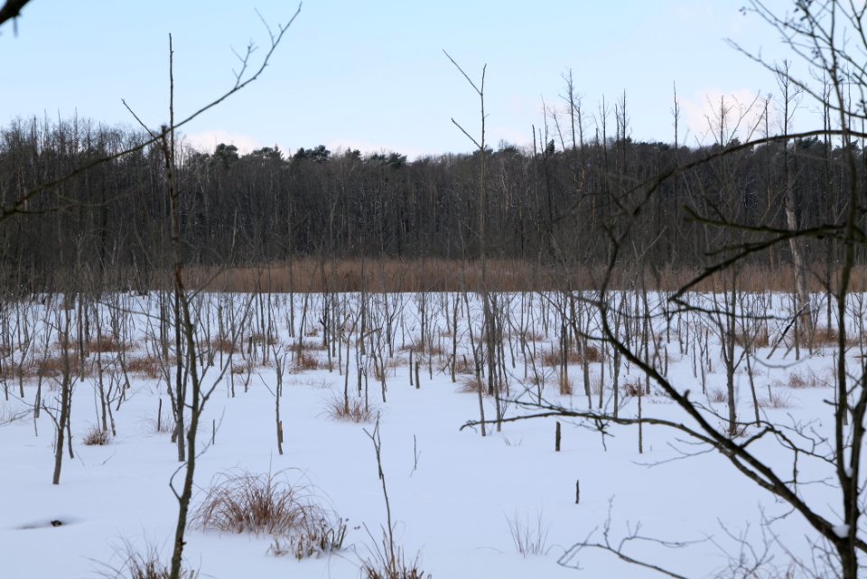 Teufelsbruch with snow 2021-02-10 33