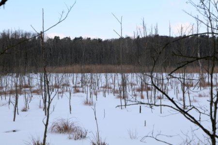 Teufelsbruch with snow 2021-02-10 33
