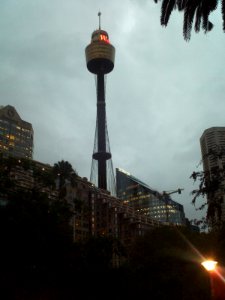 Sydney tower evening