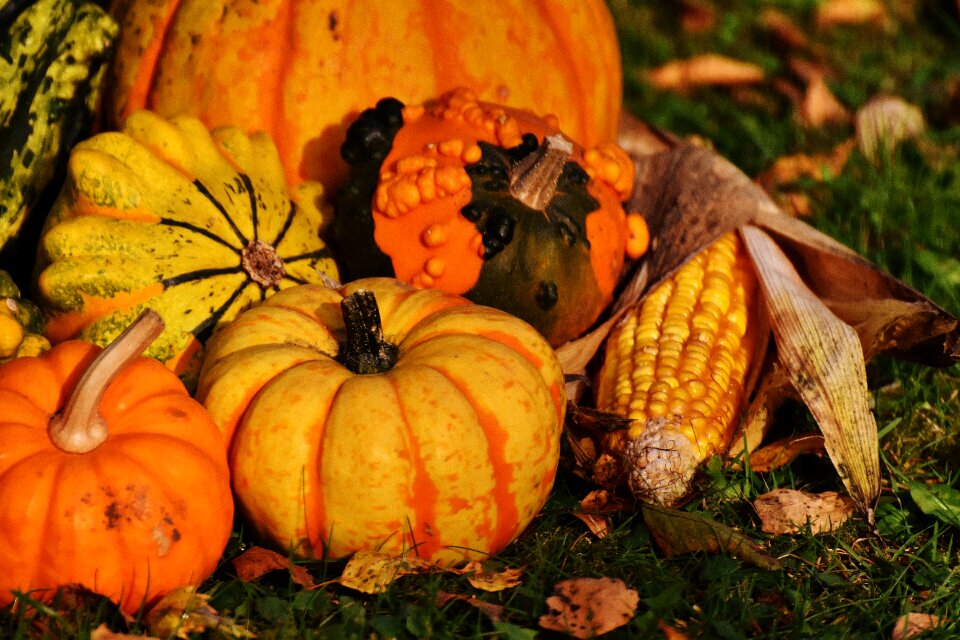Autumn decoration colorful