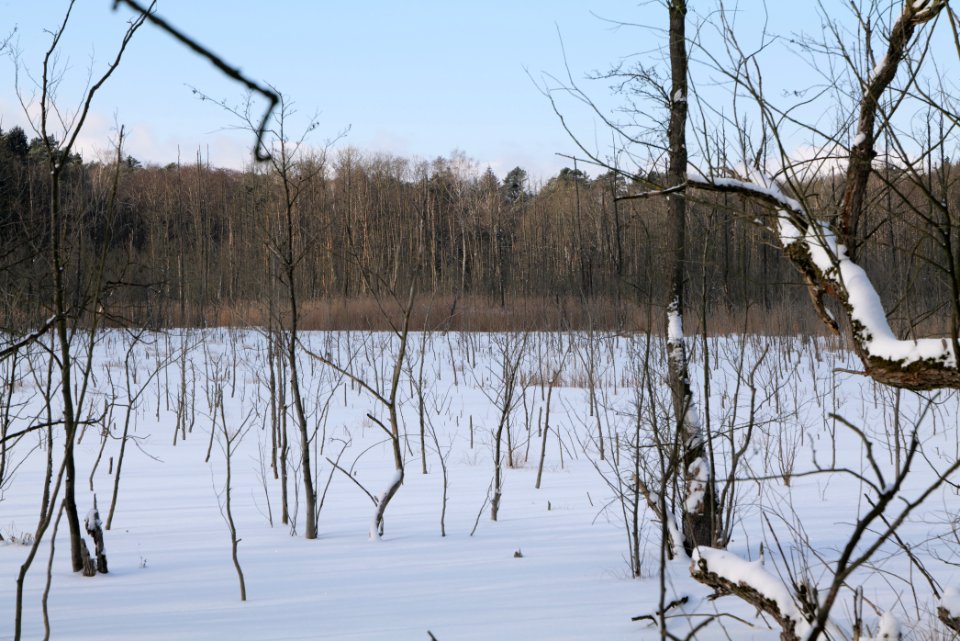 Teufelsbruch with snow 2021-02-10 29