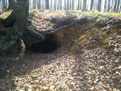 Sztolnia krupniczka 1