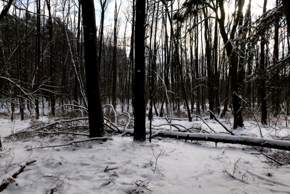 Teufelsbruch with snow 2021-02-10 12