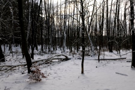 Teufelsbruch with snow 2021-02-10 14