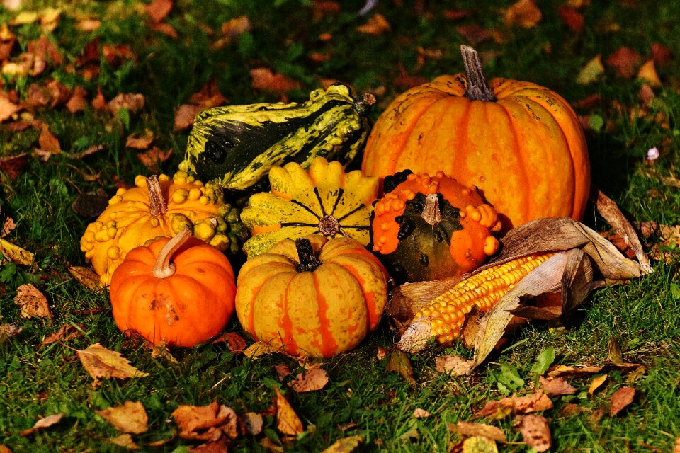 Autumn decoration colorful