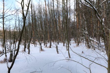 Teufelsbruch with snow 2021-02-10 25