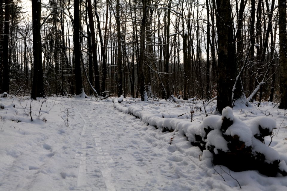 Teufelsbruch with snow 2021-02-10 17