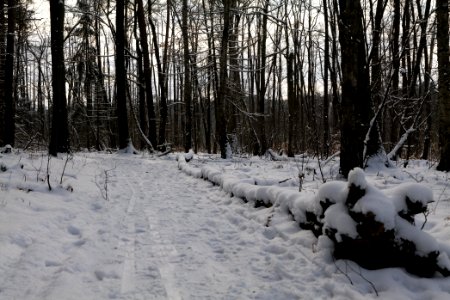 Teufelsbruch with snow 2021-02-10 17