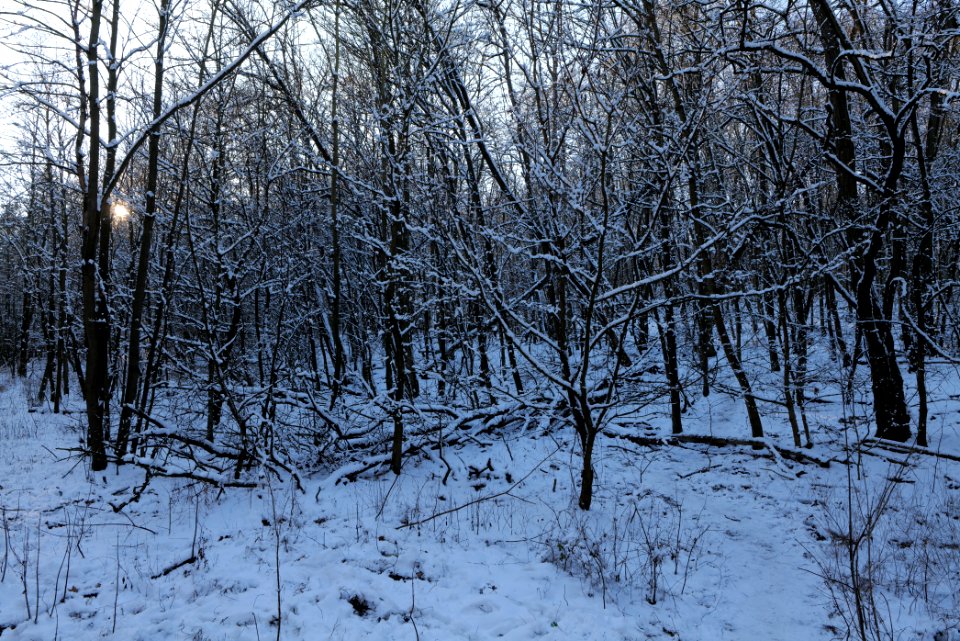 Teufelsberg with snow 2021-01-31 10