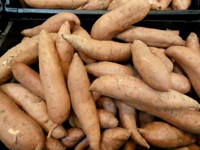 Sweet potatoes in a bin photo