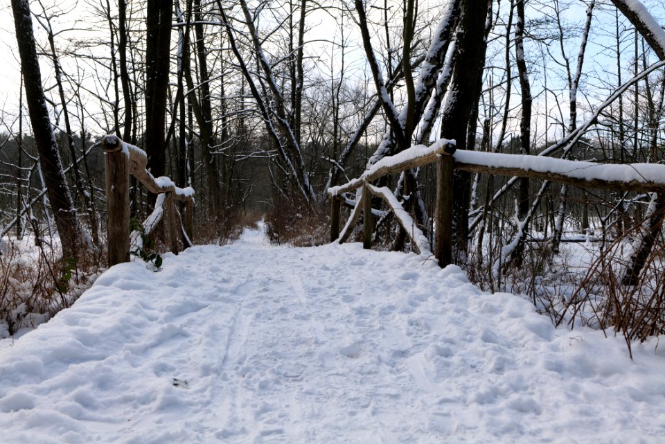 Teufelsbruch with snow 2021-02-10 19