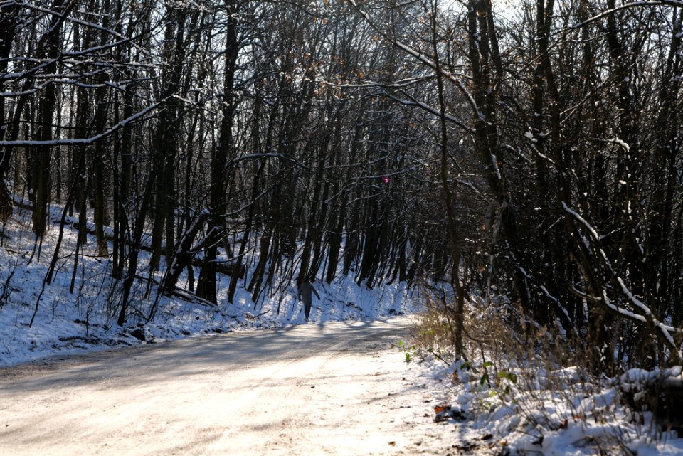 Teufelsberg with snow 2021-01-31 06