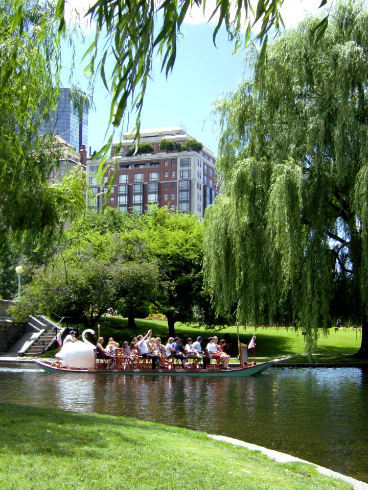Swan boat, Boston Public Garden, 2012-06-28