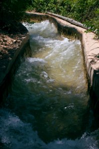 Swimming upstream from the Nahla Valley, a mixed Assyrian and Kurdish area in the Kurdistan Region of Iraq 08