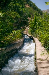 Swimming upstream from the Nahla Valley, a mixed Assyrian and Kurdish area in the Kurdistan Region of Iraq 09