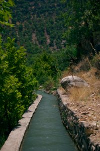 Swimming upstream from the Nahla Valley, a mixed Assyrian and Kurdish area in the Kurdistan Region of Iraq 17