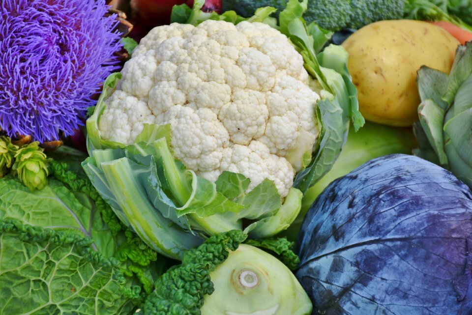 Kohlrabi onion red onion