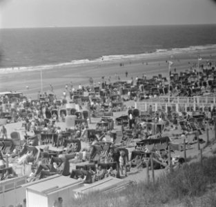 Terras, Bestanddeelnr 919-2058