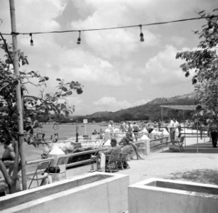 Terras aan de Piscaderabaai op Curaçao, Bestanddeelnr 252-7331