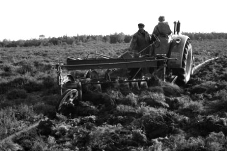 Terreinen, schijvenstoppelploegen, tractoren, arbeiders, Veluwe Hul, Bestanddeelnr 170-0784