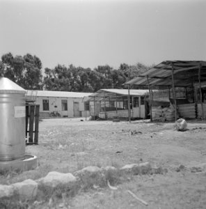Terrein kalkoenfokkerij in Beit Herut, Bestanddeelnr 255-4603 photo