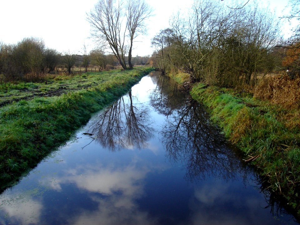 Sweet Briar Road Meadows SSSI