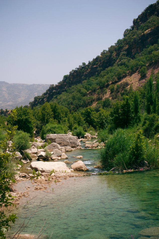 Swimming upstream from the Nahla Valley, a mixed Assyrian and Kurdish area in the Kurdistan Region of Iraq 11