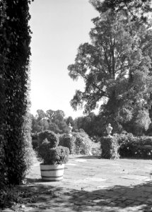Terras in de tuin van Shoppenhanger Manor, Bestanddeelnr 254-2719