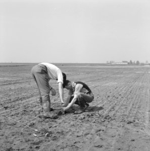 Terreinen, drains, inlaatbuizen, mannen, grondboor, ruilverkaveling het land van, Bestanddeelnr 165-0282