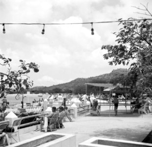 Terras aan de Piscaderabaai op Curaçao, Bestanddeelnr 252-7334