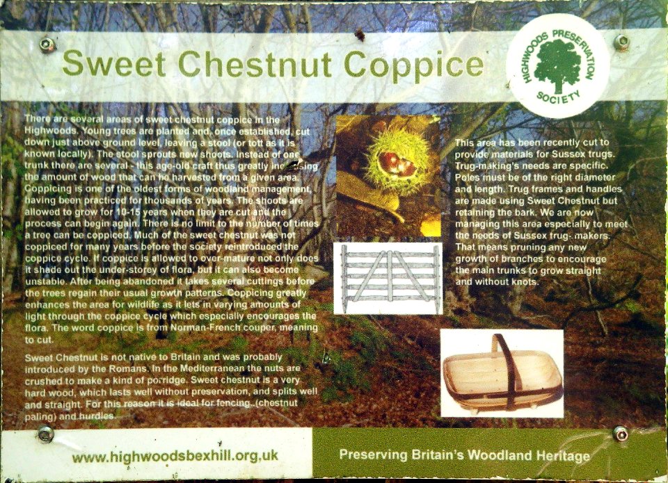 Sweet Chestnut Coppice Information Board, Highwoods, Bexhill-on-Sea