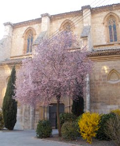 Teruel - Convento de San Francisco 03
