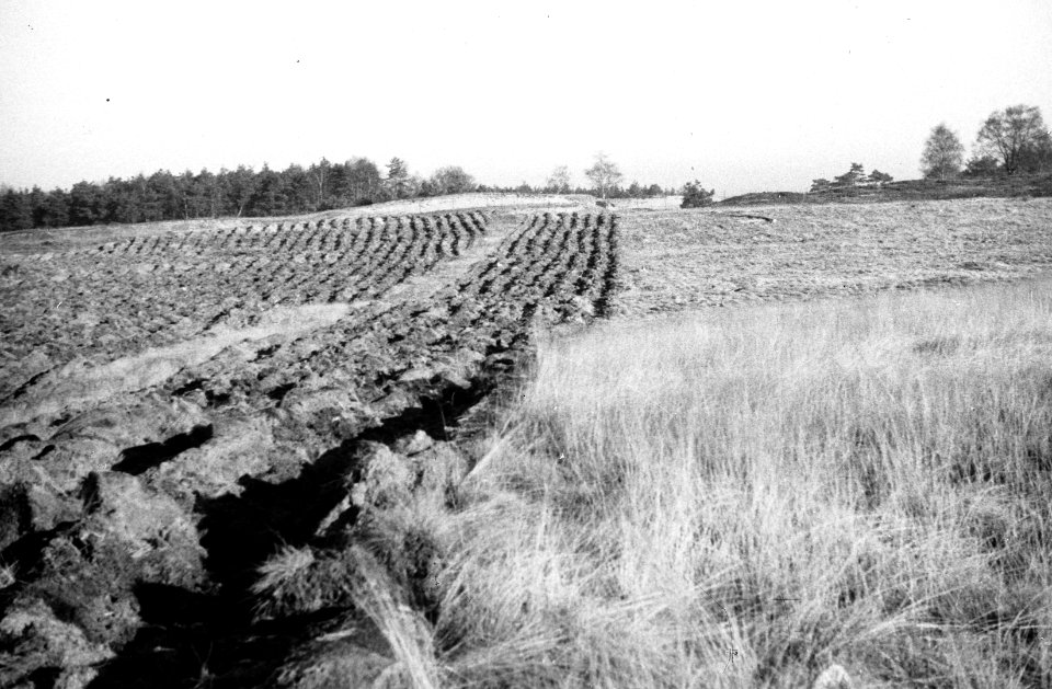 Terrein bewerkt met zware bosploeg, Bestanddeelnr 195-0021