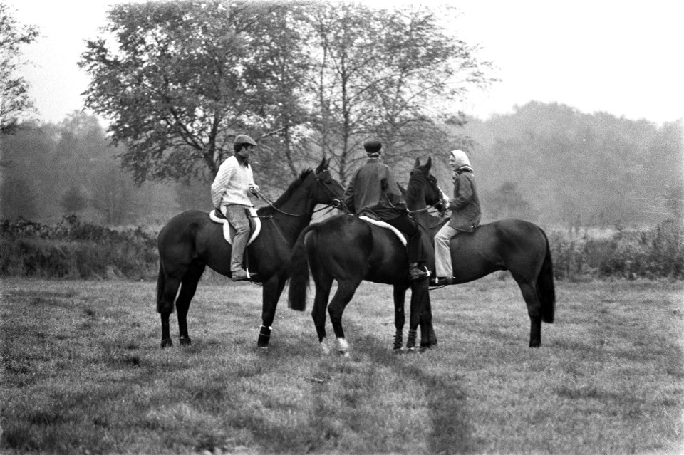 Te paard, vergezeld door een onbekende ruiter in een paardencentrum bij Boekelo, Bestanddeelnr 926-7773