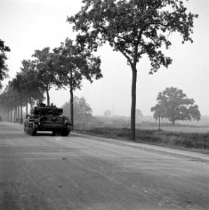 Tankeenheden van de Irish Guards trekken op door de corridor richting Nijmegen, Bestanddeelnr 255-9025
