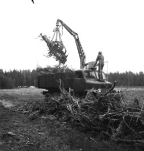 Terreinen, takelwagens, arbeiders, takken, struiken, Bestanddeelnr 253-6075