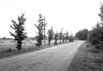 Terreinen, wegen, bomen, Bestanddeelnr 168-1239