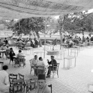 Terras langs de rivier de Orontes in Hama, Bestanddeelnr 255-5999