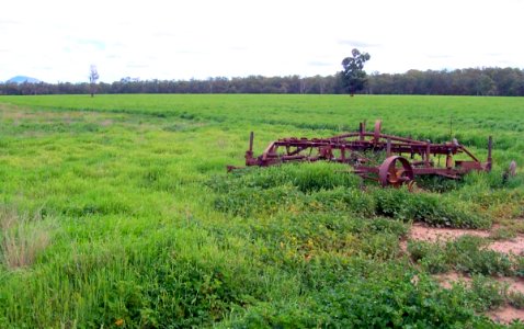 Terry Tie-Tie farmland