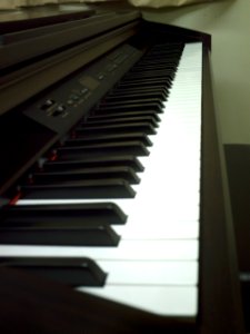 Teclado Electronico