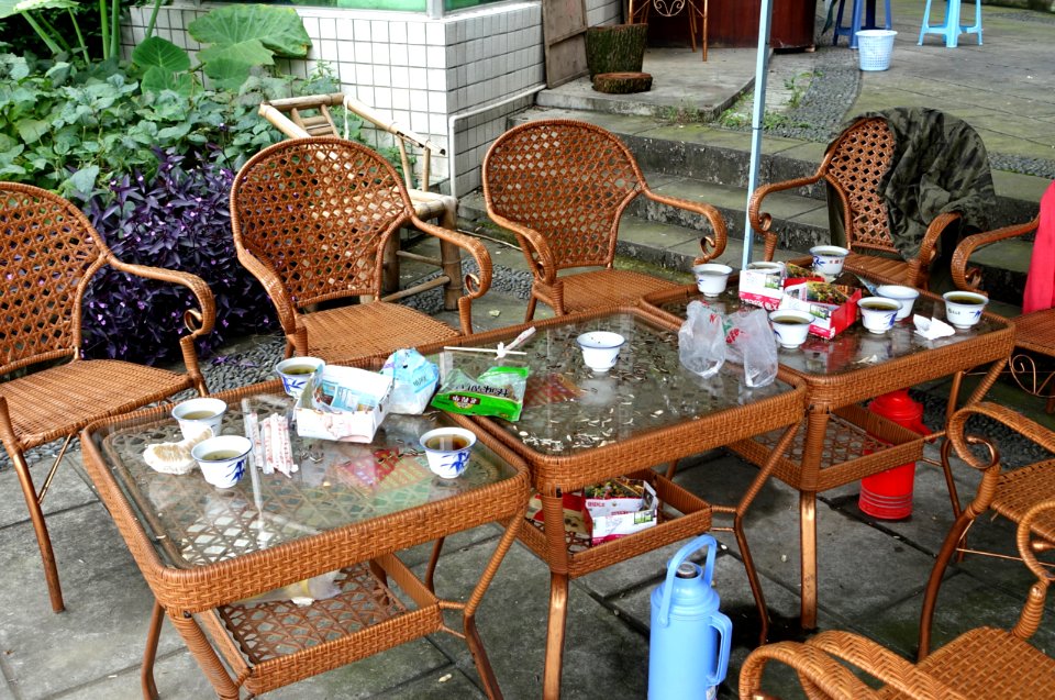 Tea and snacks - Chengdu Botanical Garden - Chengdu, China - DSC03448