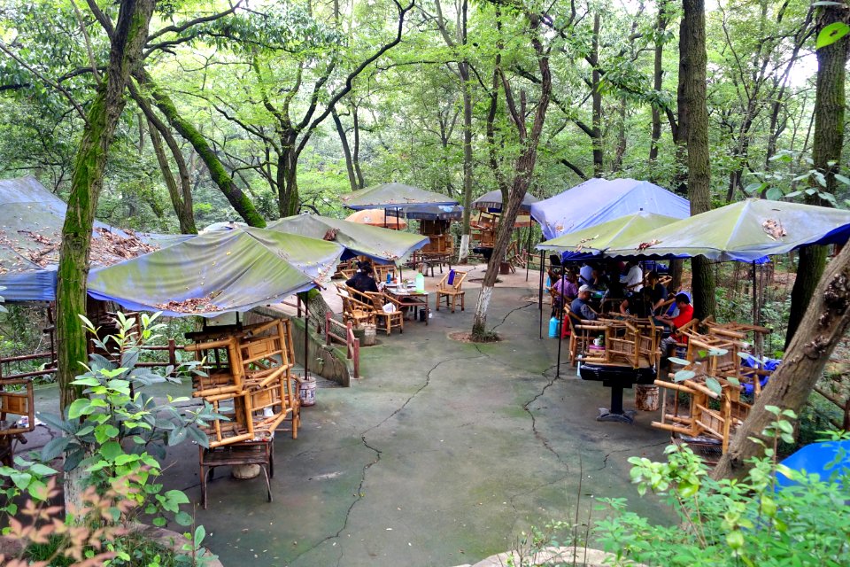 Tea and mahjong - Chengdu Botanical Garden - Chengdu, China - DSC03595