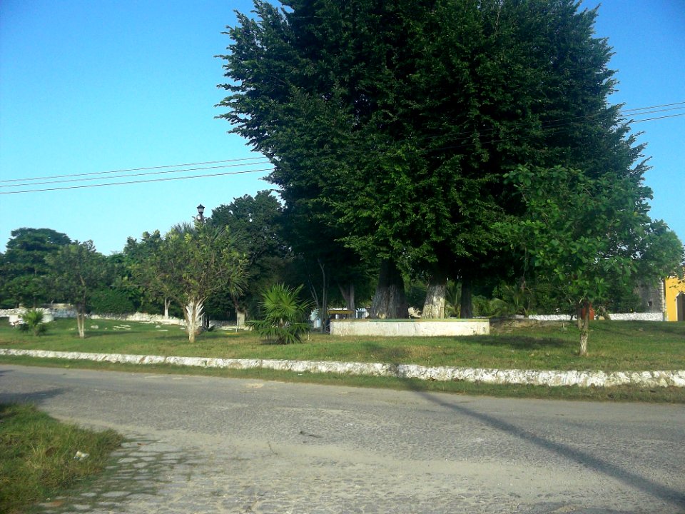 Tecoh (Tecoh), Yucatán (08)