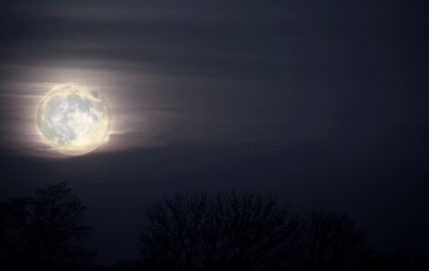 Night landscape blue moon
