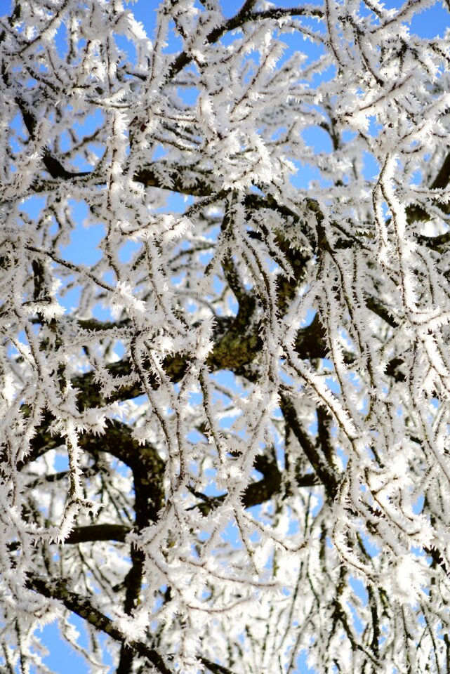 Iced snow cold